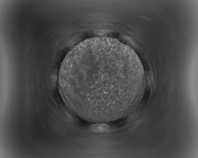 X0000083600427200703021918