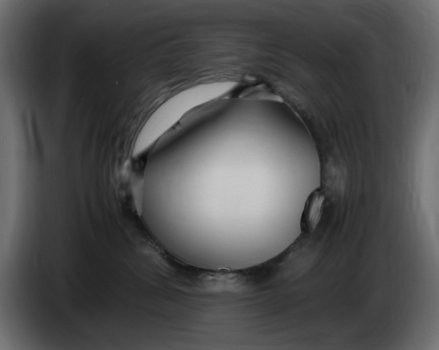 X0000083600428200703021918