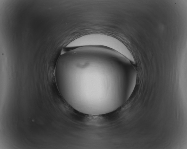 X0000083600429200703021918