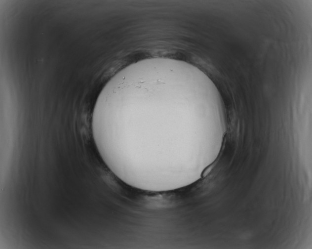 X0000083600430200703021918