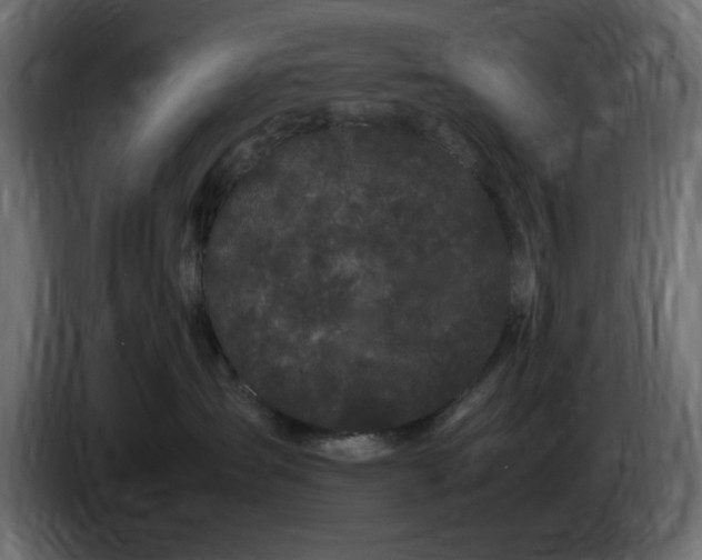 X0000083600431200703021918