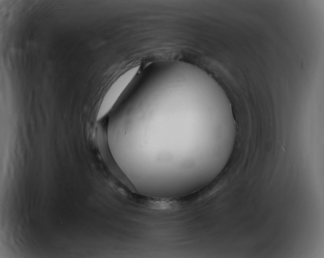 X0000083600432200703021918