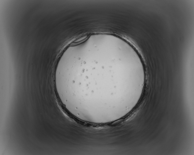 X0000083600433200703021917