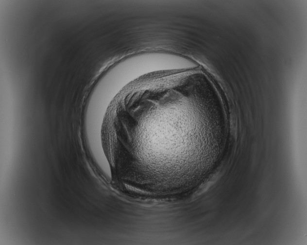 X0000083600434200703021917