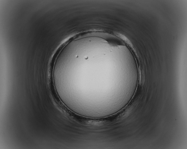 X0000083600435200703021917