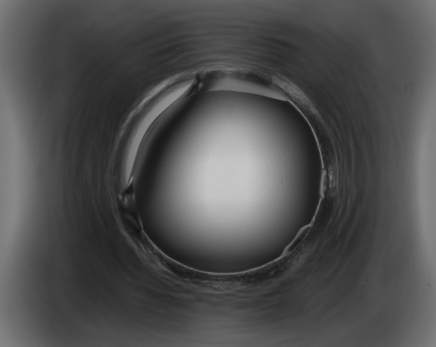 X0000083600436200703021917