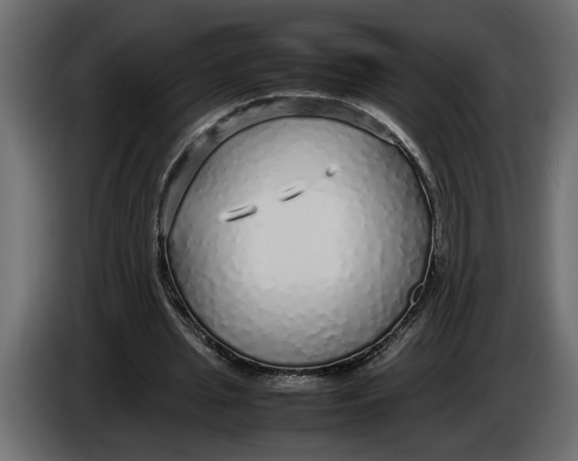 X0000083600437200703021917