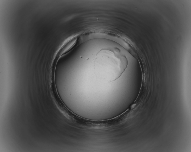 X0000083600438200703021917