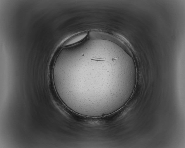 X0000083600439200703021917