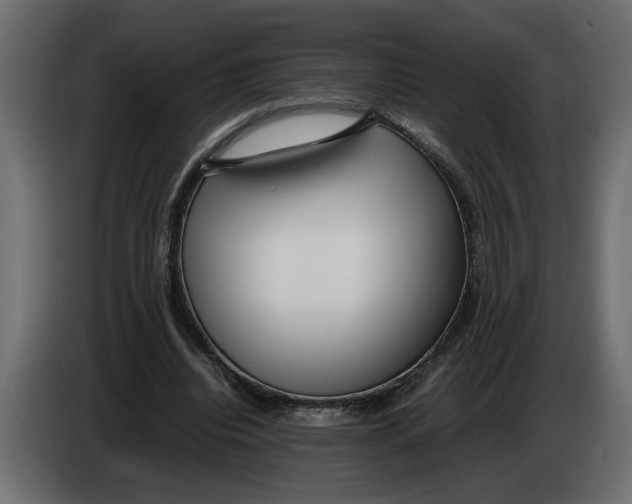 X0000083600440200703021917