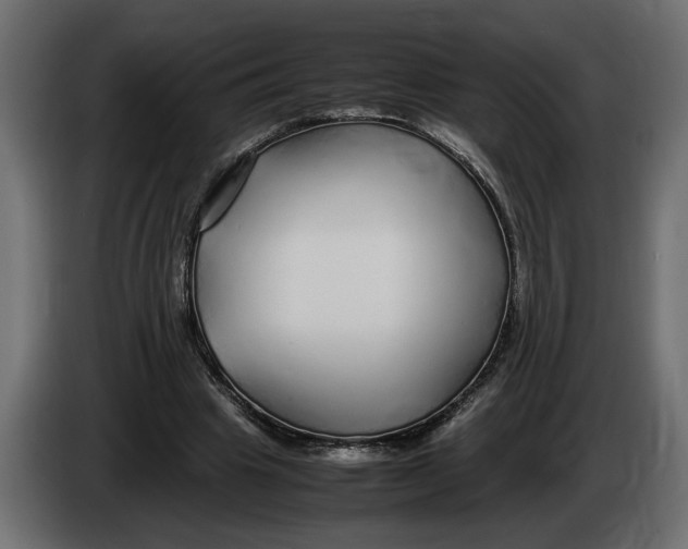 X0000083600441200703021917