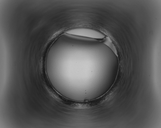 X0000083600442200703021917