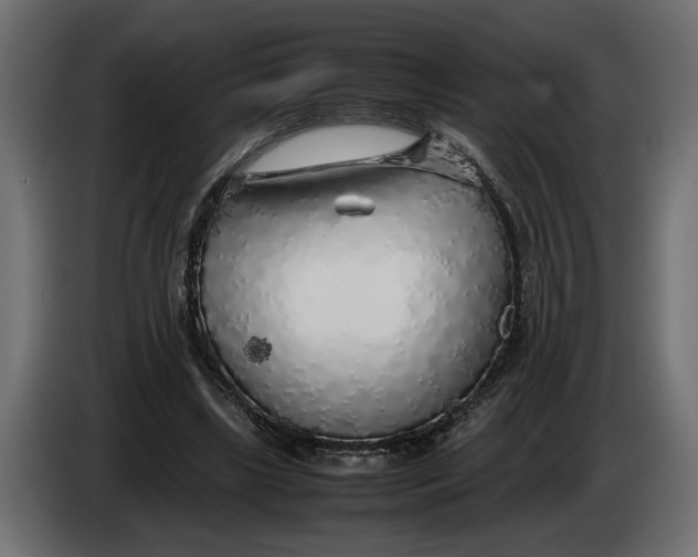 X0000083600443200703021917