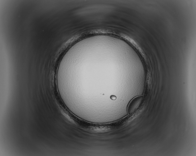 X0000083600445200703021917