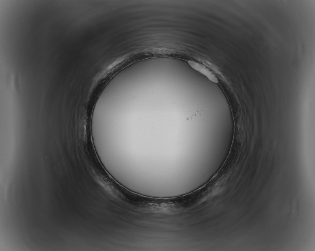 X0000083600446200703021917