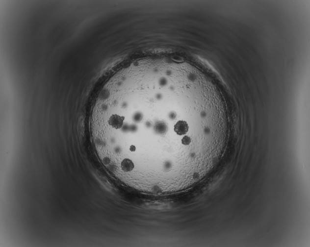 X0000083600447200703021917