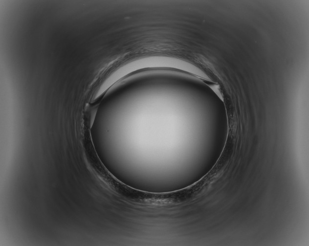 X0000083600448200703021917