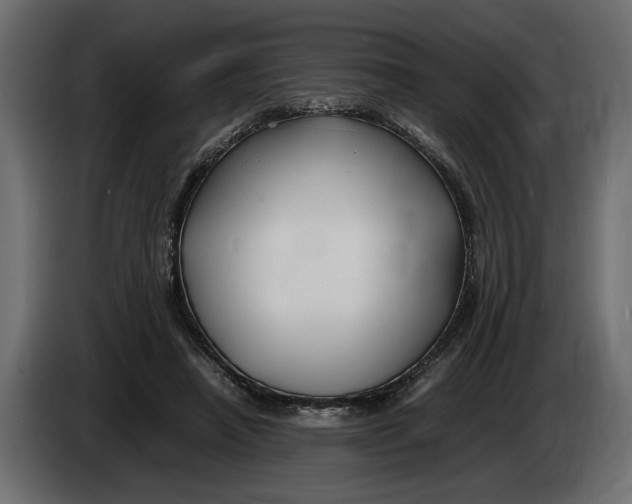 X0000083600450200703021917