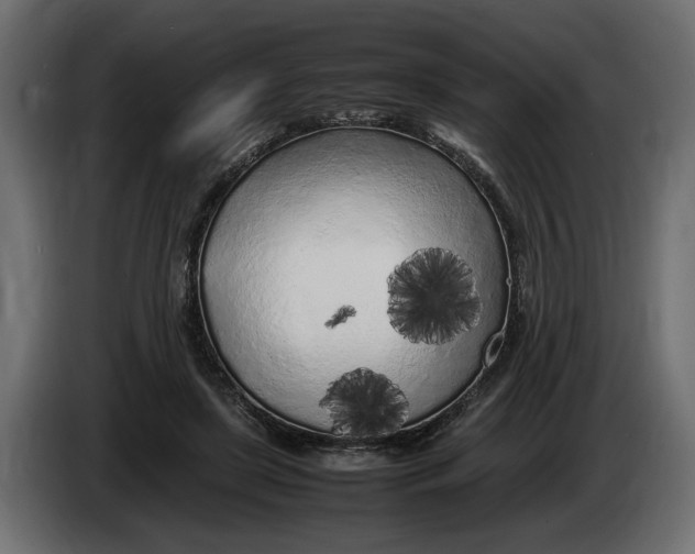 X0000083600451200703021917