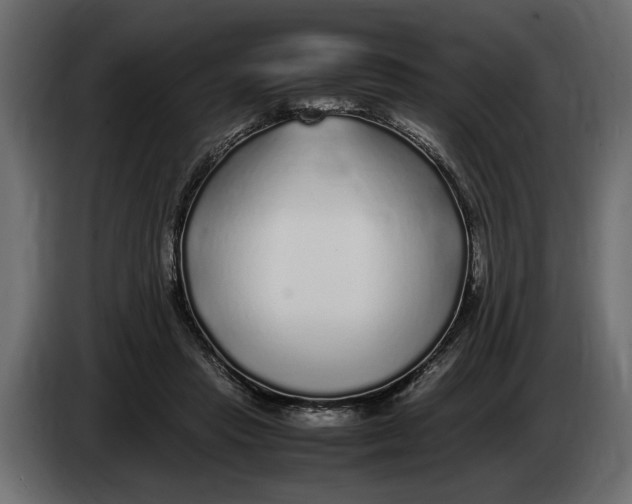 X0000083600453200703021917