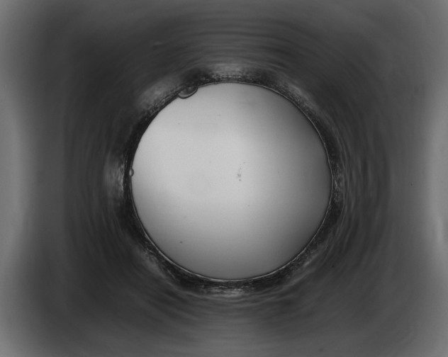 X0000083600454200703021917