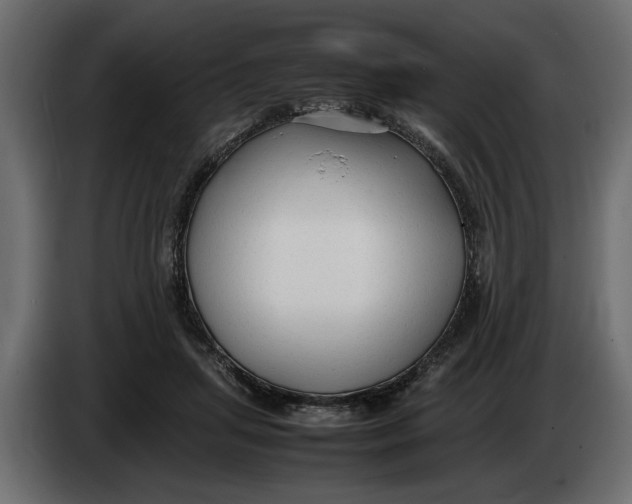 X0000083600455200703021917