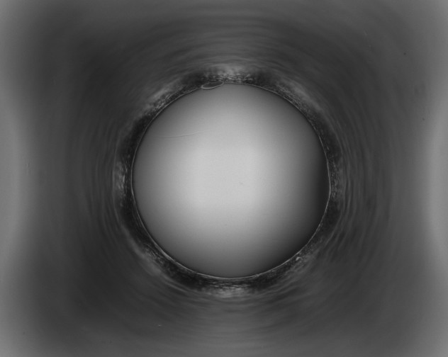 X0000083600456200703021917