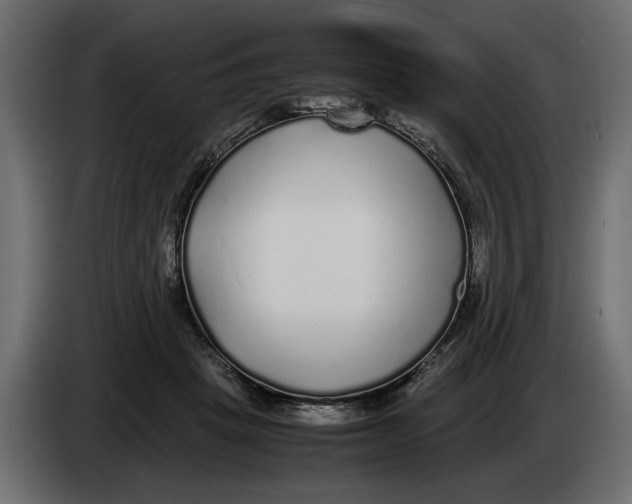 X0000083600457200703021917