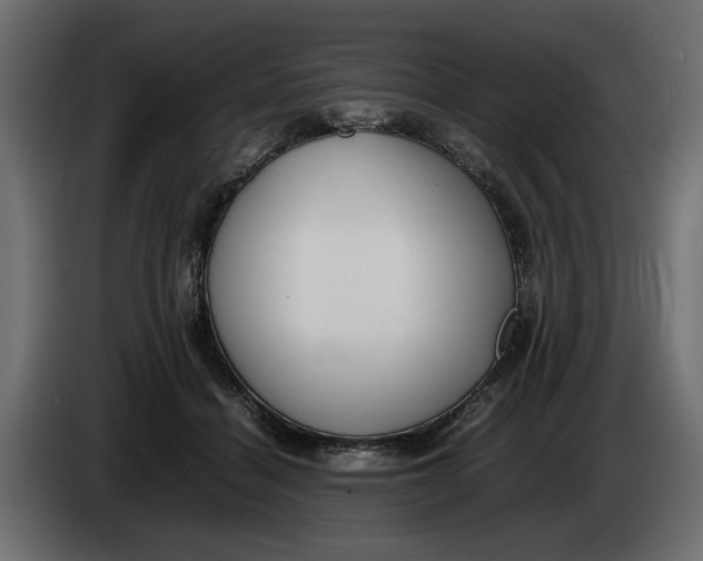 X0000083600460200703021917