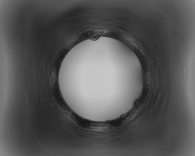 X0000083600463200703021917