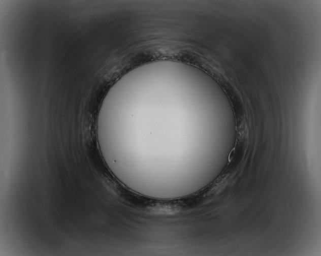 X0000083600464200703021917