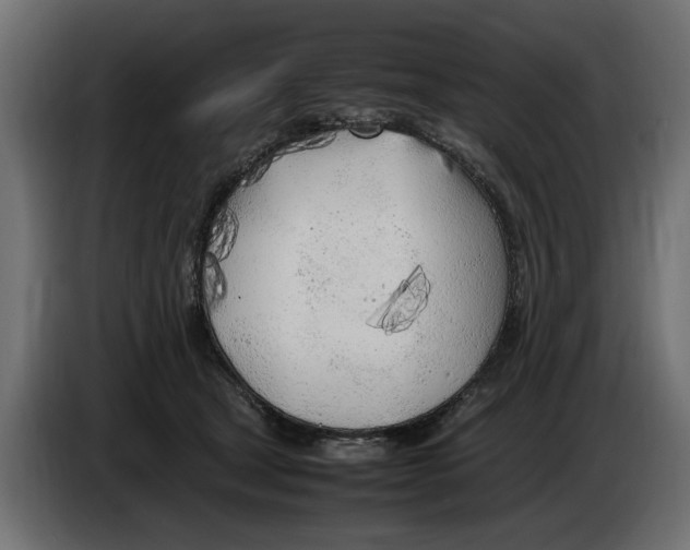 X0000083600465200703021918