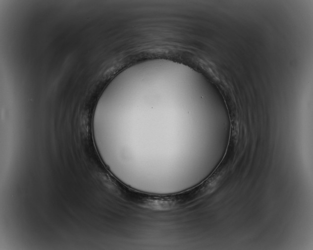 X0000083600466200703021918