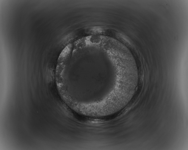 X0000083600467200703021918