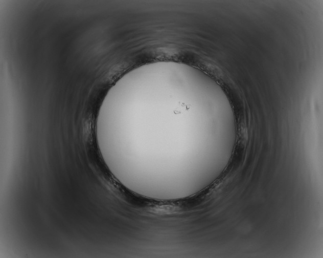 X0000083600468200703021918