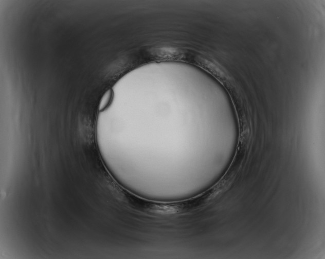 X0000083600469200703021918