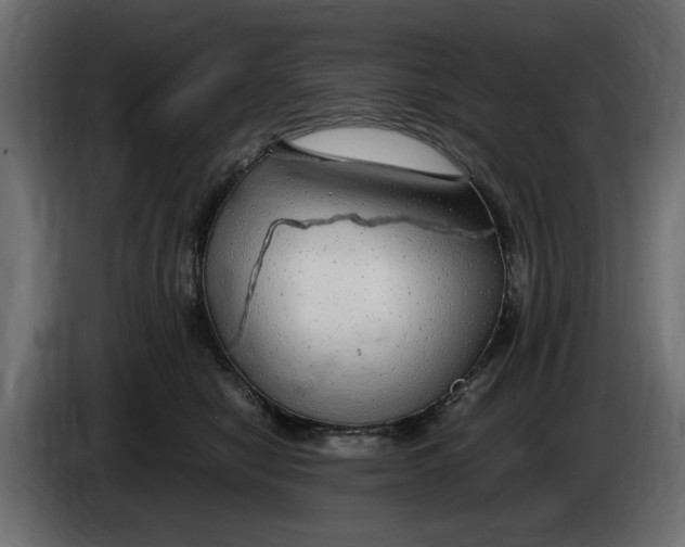 X0000083600470200703021918