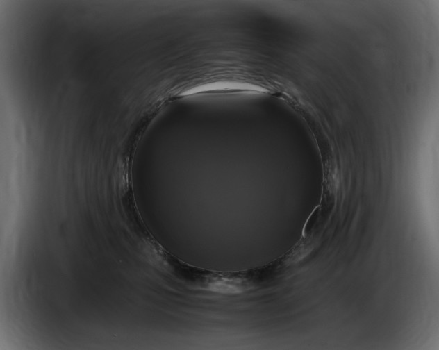 X0000083600471200703021918