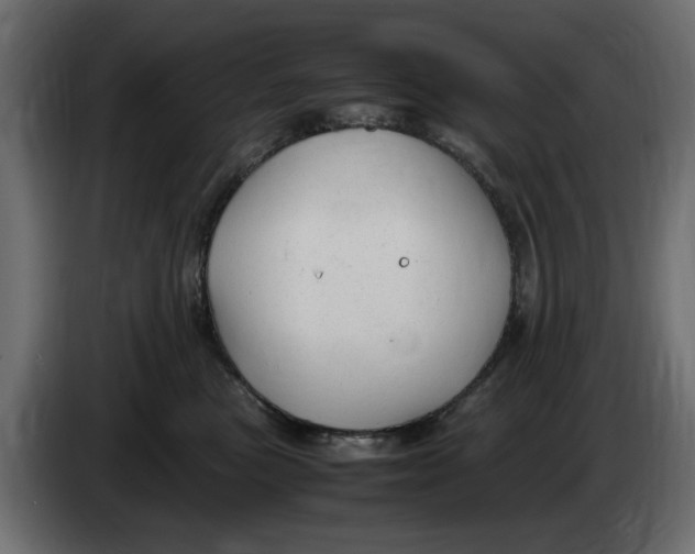 X0000083600473200703021918