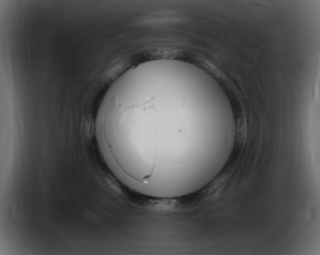 X0000083600474200703021918