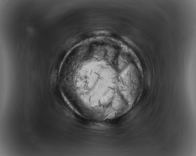 X0000083600475200703021918