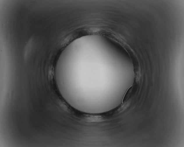 X0000083600476200703021918