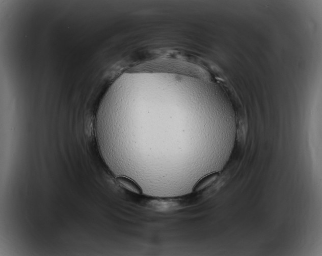 X0000083600477200703021918