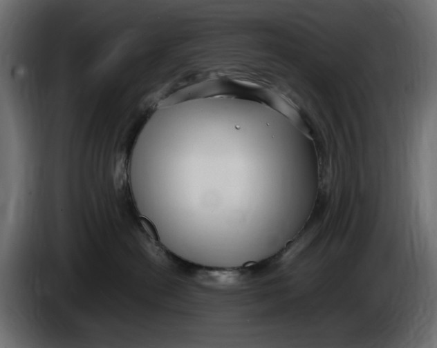 X0000083600478200703021918