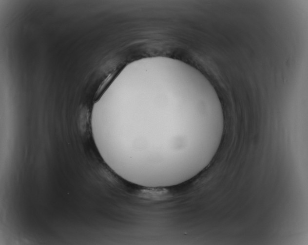 X0000083600480200703021918