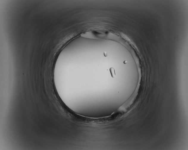 X0000083600481200703021917