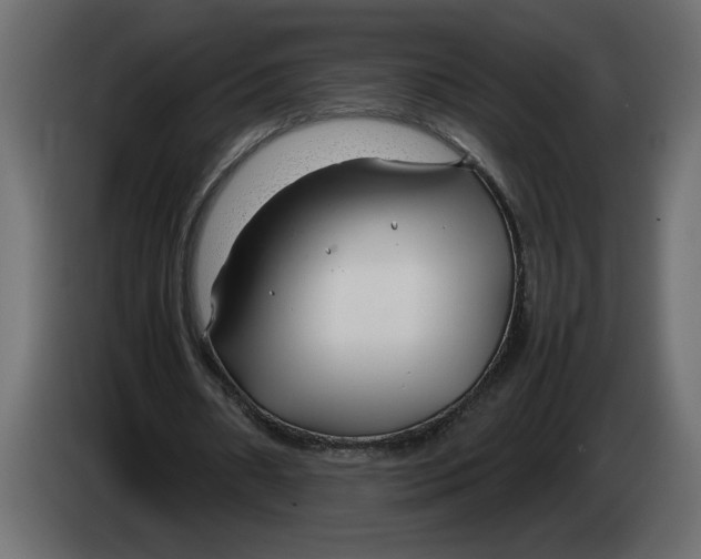 X0000083600482200703021917