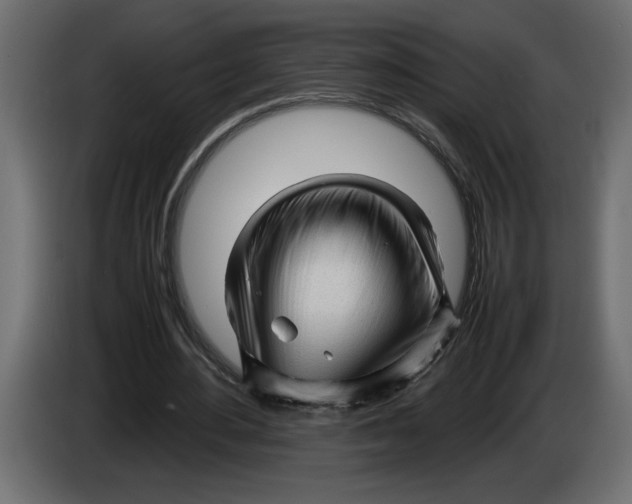 X0000083600484200703021917