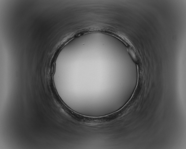 X0000083600485200703021917