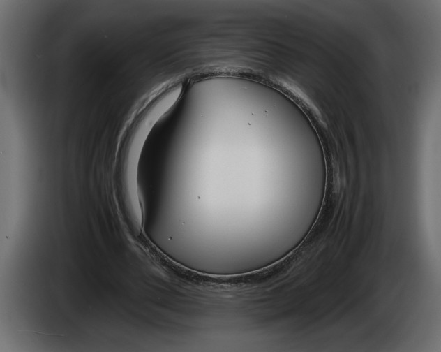 X0000083600486200703021917